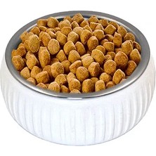 Epilons Mikopet Organik Seramik Mama Kabı Beyaz