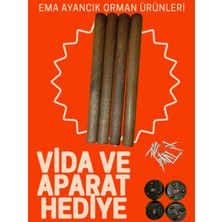 EMA Orman 44 cm Meşe Masa Sandalye  Konik Ayak Plastik Aparat Hediyeli