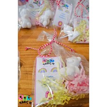 Tarçın Boyama Atölyesi Eğitici Etkinlik Mini Ayıcık Taş Boyama Özel Paketleme 13 Obje 13 Fırça 13 Boya