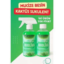kaktüs sukulent mucize bitki besini 500ml 2 ürün tek 