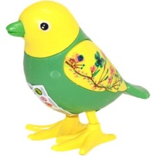 Kayem Kay URT005-07 Kurmalıgiller Kuş 658474