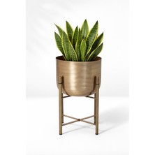 Valda Home 45 cm Metal Gold Eskitme Saksı Çap 20 cm