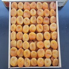 Toptan Jumbo Sarı Kayısı Özel Dizim 10KG