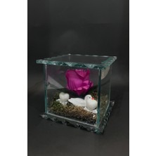 Tekbir 🕊️ Zarafetin Sembolü: Kuğular ve Gül Cam Fanusta Dekoratif Hediye 💖