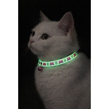 PHENORA Fosforlu Çıngıraklı Kedi Tasması | Gece Parlayan Şık Kedi Kolyesi Aksesuarı