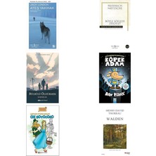 İş Bankası Kültür Yayınları Ateş Yakmak: Modern Klasikler Serisi... +5 Kitap