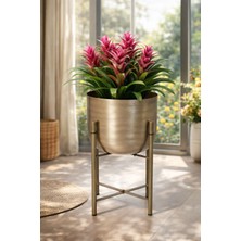 Valda 45 cm Metal Gold Eskitme Saksılık Çap 25 cm