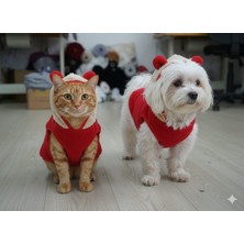 Kedi Köpek Kıyafeti