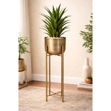 Valda Home Metal Dekoratif Saksı 75 cm Silindir Şekil Eskitme Altın Desenli