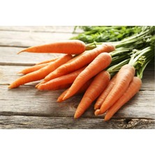 Havuç Tohumu 50 Adet Yerli Tohum