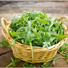 Roka 100 Adet Yerli Tohum