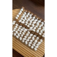 Belirtilmemiş Badem Şekerli Kayısı Çekirdeği Hediyelik Tüp Şeker 20 Adet