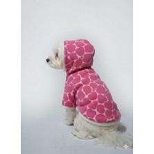 Pafiwear Kedi Veköpek Kıyafeti