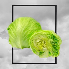 Yerli Göbek Marul Iceberg 50 Adet Tohum