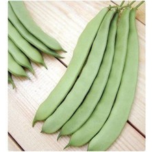 Yerli Oturak Nazende 5 Adet Erkenci 40 Günlük Kılçıksız Tohum