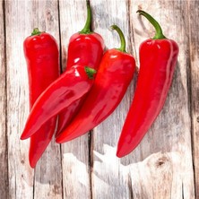Yerli Kırmızı Tatlı Kapya Biber 30 Adet Tohum