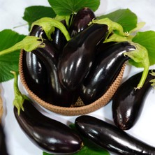 Yerli Patlıcan 50 Adet Kemer Uzun Tohum