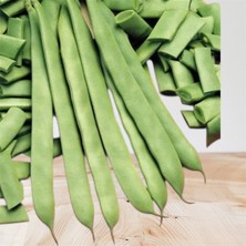 Yerli Sırık Erken 15  Adet Ispanyol Uzun Enli Sepet Dolduran Tohum