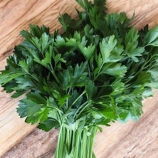 Maydanoz 100 Adet Yerli Tohum