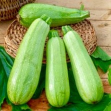 Kabak 10 Adet Sakız Yerli Tohum