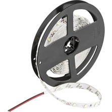 Storemax CT-4534 10ç Dış Mekan Rgb LED Şerit, 5 M
