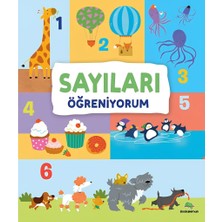 Platin Store Pilatin Sayıları Öğreniyorum Zeyd