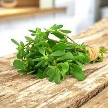 Semizotu 50 Adet Yerli Tohum