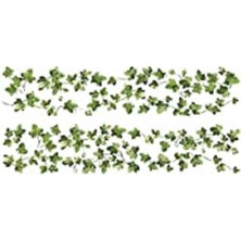 Storemax 27 x 12,7 x 2,3 cm "klettern Ivy" Duvar Çıkartması Tekrar Kullanılabilir