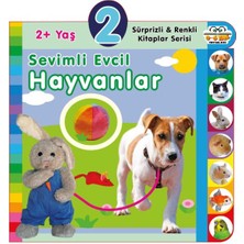 İrgit Store Yaş Sevimli Evcil Hayvanlar (2+Yaş)