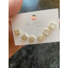 Çelik Kadın Yonca Küpe Seti
