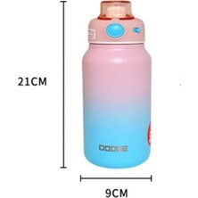 Dodge Intested Colors Çelik Termos Matara Çocuk 750ML A.pembe Mavi