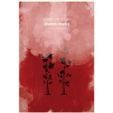 İrgit Store Güzel Bir Ölüm