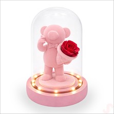 Süsle Bebek ve Parti Solmayan Güllü Ayıcıklı LED Işıklı Cam Fanus - Pembe