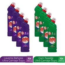 H.hypo Ultra Çamaşır Suyu 4 Çam ve 4 Lavanta 750 Mlx8