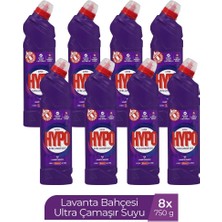 H.hypo Ultra Kıvamlı Çamaşır Suyu Lavanta 750 gr x 8