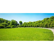 Çim Tohumu 3 Lü Karışım Bermudalı 1 kg