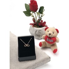 Masalsı Concept Sonsuz Aşk Seti | Kırmızı Gül, Kalpli Ayıcık ve Sonsuzluk Kolye Sevgiliye Hediye