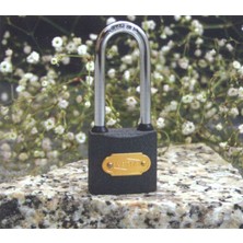 DS LLC Gri Döküm Uzun Kancalı Asma Kilit 38MM Iegtgrs-34