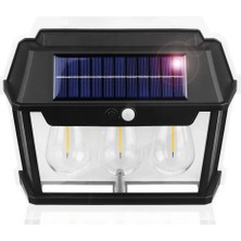 DS LLC Solar Bahçe Aydınlatması 3 Lü Iegtgrs-34