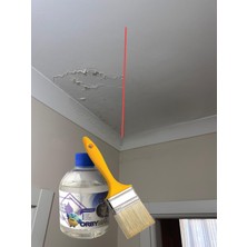 Orbymax Sıvı Duvar Yalıtımı