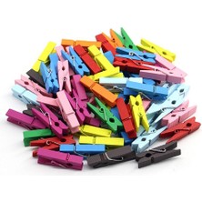 DS LLC 100 Lü Renkli Ahşap Mandal 2.5 cm 12 Li Paket 1200 Adet Iegtgrs-34