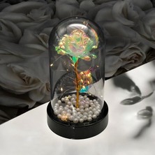 Masalsı Concept Cam Fanus Içinde Işıltılı Sonsuz Gül | Sevgiliye Özel Romantik LED Gül