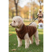 Salya Store Köpek Kıyafeti - Fermuarlı Teddy Köpek Ceketi