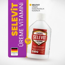 Munich Vet Selevit Üreme Vitamini 500 ml Selenyum E Vitamini ile Kızgınlık Artışı Sağlar