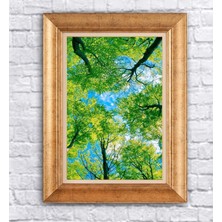 Giyense Altın Çerçeveli Paspartulu Manzara Tablo N694