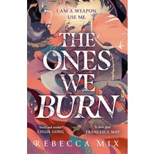 Hodderscape The Ones We Burn: The New York Times Bestselling Dark Epic Young Adult Fantasy