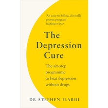 Vermilion The Depression Cure: The Six-Step Programme To Beat Depression Without Drugs