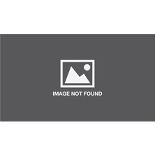 Disney The Zodiac Legacy: The Dragon's Return