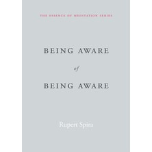 New Harbinger Being Aware Of Being Aware: The Essence Of Meditation, Volume 1