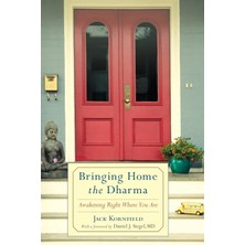 Shambhala Bringing Home The Dharma: Awakening Right Where You Are